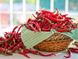 Cabai dan Bawang Merah Sumbang Deflasi di Jambi