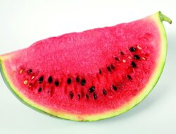 5 Jenis Buah Ini Baik Untuk Kesehatan Otak, Diantaranya Semangka