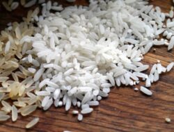 Rahasia Nasi Lezat: Eksperimen Mengganti Air dengan Kaldu, Santan, dan Inovasi Rasa