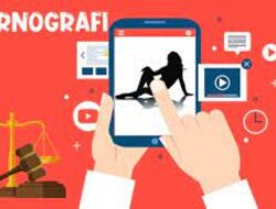 Oknum Pegawai Honorer Kantor Desa Pemilik Puluhan Website Pornografi Ditangkap Polisi